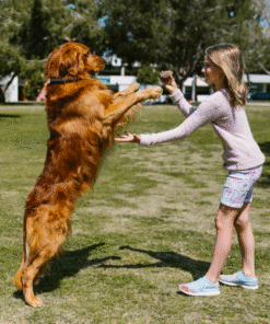Pet Products